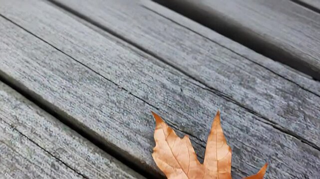 Fallen orange maple leaf resting on wooden planks in autumn