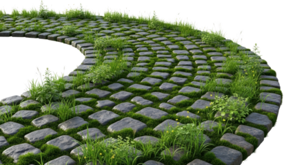 A paved pathway of gray stones and lush green moss bordered by vibrant grass and small yellow flowers
