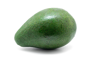 Fuerte avocado fruit (Persea americana Cv. Fuerte), Lauraceae. Fruit tree, evergreen. variety of avocado.