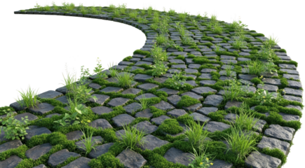 Curved stone pathway with lush green grass and small plants growing between stones