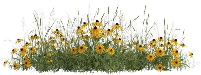 A patch of vibrant yellow coneflowers blooming amidst tall green grass and feathery seed stalks