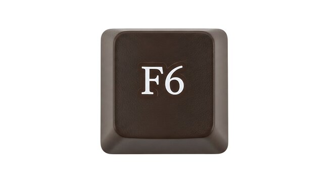 F6 Key on a Computer Keyboard