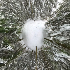 Tiny planet winter panorama of a snow-covered forest. Trees rise from a white circular landscape, creating a surreal and immersive snowy scene. Perfect for seasonal, editorial, and nature-themed proje