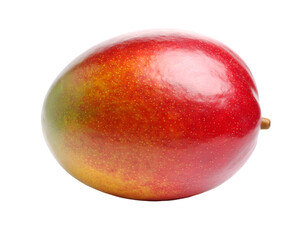 Vibrant ripe mango fruit isolated closeup