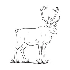 Alert Caribou Presence - Caribou vector - Caribou Line art - Caribou Drawing - Vector Lineart of Caribou - Caribou icon - portraying watchfulness

