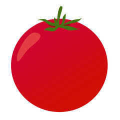 tomato vector color cartoon