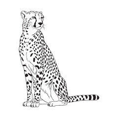 Dynamic Cheetah Form - Cheetah vector - Cheetah Line art - Cheetah Drawing - Vector Lineart of Cheetah - suggesting movement and power.


