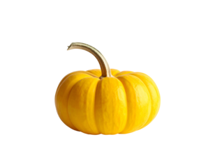 Mini yellow pumpkin on black backdrop
