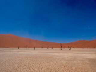 Sossusvlei landscape in the Namib-Naukluft Park in Namibia with a view of Deadvlei. The white color...