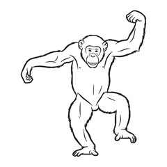 Scalable Digital Artwork - Chimpanzee vector - Chimpanzee Line art - Chimpanzee Drawing - Vector Lineart of Chimpanzee - adaptable for different sizes.

