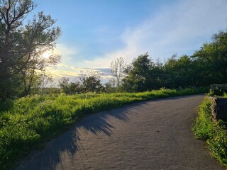 path in the park at sunset