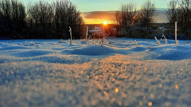 sunset in the snow