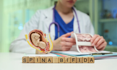 A healthcare professional discusses spina bifida in detail, using models and images for better...