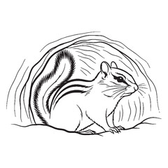 An Ideal Woodland Chipmunk Vector Asset - offering crisp Chipmunk Lineart perfect for graphic design - a versatile Chipmunk Drawing - showcasing delightful Vector Lineart of Chipmunk.

