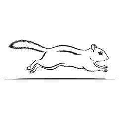 Discover a Playful Chipmunk Vector - vibrant Chipmunk Lineart for digital art projects - a charming Chipmunk Drawing - featuring precise Vector Lineart of Chipmunk.

