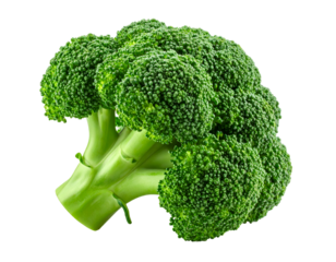 Fresh broccoli floret isolated on black