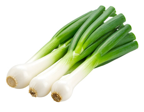 Fresh spring onions on black background