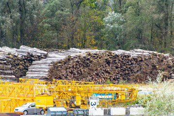 Industrial Tree Logging in Austria
