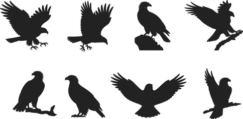 Eagle bird silhouette set, flying and perched raptors, majestic wildlife icons, predator birds in various poses, black vector illustration, nature graphic design
