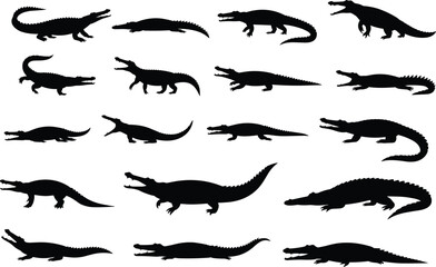 Crocodile and alligator silhouettes set, black reptile icons, animal posture illustrations, dangerous wildlife creatures, vector predator shapes, isolated graphic jungle monsters