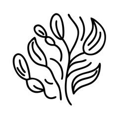 Obraz premium Botanical line art: A delicate black-and-white illustration, showcasing the minimalist beauty of nature, capturing intricate botanical details.