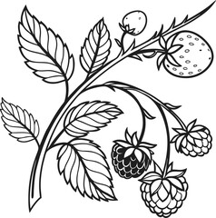 A seamless vintage black and white floral pattern with decorative flower, leaf, and branch illustrations for a natural design