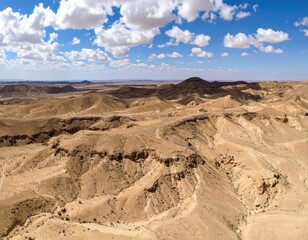 Fototapeta premium Expansive desert landscape