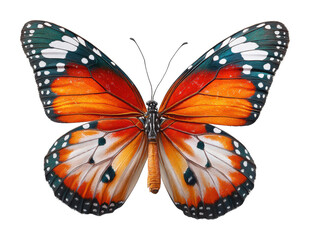 Captivating butterfly display nature. Isolated on transparent background, png.