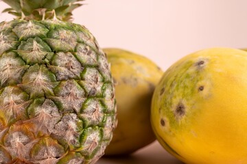 Fruit With Visible Mold Captured in a Minimalistic Arrangement