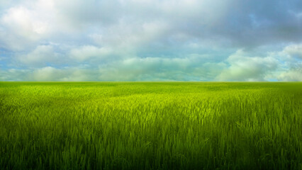 green field and blue sky