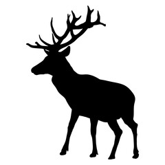 Silhouette of Deer with Large Antlers
