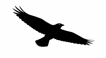 Obraz premium Silhouette of Bird in Flight – Soaring Winged Animal Vector on White Background