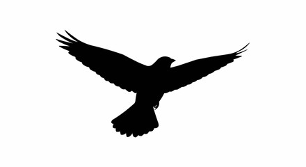 Obraz premium Silhouette of Bird in Flight – Soaring Winged Animal Vector on White Background