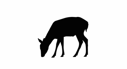 Fototapeta premium Silhouette of Deer Grazing – Peaceful Wildlife Vector on White Background