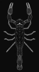 A low poly scorpion with intricate geometric shapes stands out against a sleek black background. The sharp contrast highlights its detailed design, creating a modern and striking visual.