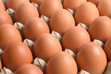 Close up of Chicken eggs in cardboard box. background of egg box with brown eggs