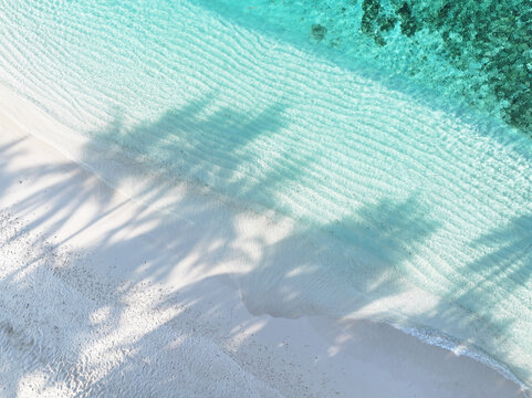 Aerial view of soft, white sand meeting the tranquil, turquoise water, palm tree shadows dancing along the shore, Kendhoo, Baa Atoll, Maldives.