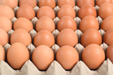 Close up of Chicken eggs in cardboard box. background of egg box with brown eggs