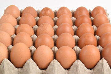 Chicken eggs in cardboard box on white background