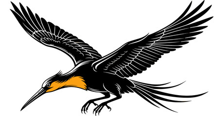 Bird flies downward with wings outstretched. Frigatebird soaring, wildlife illustration, ornithology, avian predator, flying.