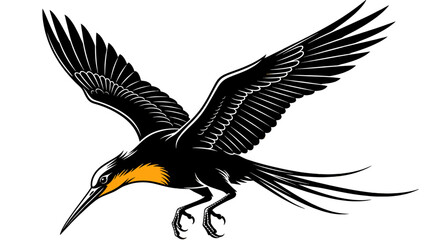 Black bird spreads wings in downward flight. Tropical wildlife, flying animal, exotic bird, nature illustration.