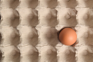 Chicken eggs in cardboard tray. Egg carton, box, tray or container