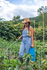 vertical Latin farmer woman spraying pesticides in a vegetable garden