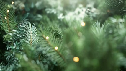 Christmas pine cones resting on evergreen branches creating festive atmosphere - Powered by Adobe