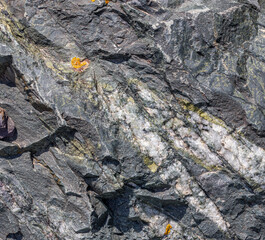 Rugged gray sedimentary rock formation with mineral veins