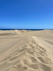 Wavy sand dunes glowing in summer sun. Idea of travel, warmth, and natural beauty.

