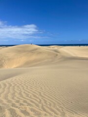 Wavy sand dunes glowing under the summer sun. Peaceful desert landscape perfect for travel and adventure.