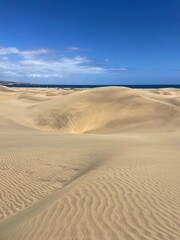 Wavy sand dunes glowing under the summer sun. Peaceful desert landscape perfect for travel and adventure.