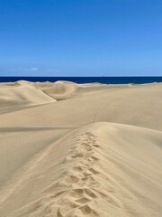 Scenic sand dunes of Sahaya glowing under the summer sun. Desert travel destination with stunning natural beauty.