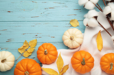 Beautiful mini pumpkins with autumn leaves on blue background
